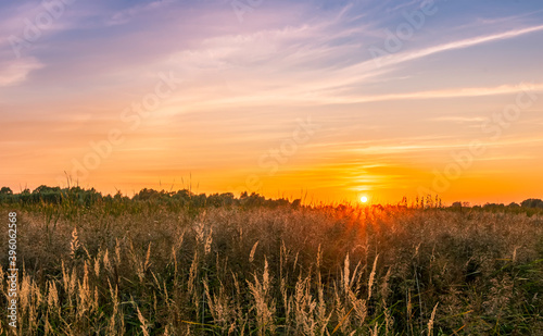 scenic view from reeds at a beautiful sunset. Reed cane grass on the front and orange sun glow with picrutesque sky on the background. Amazing evening landscape