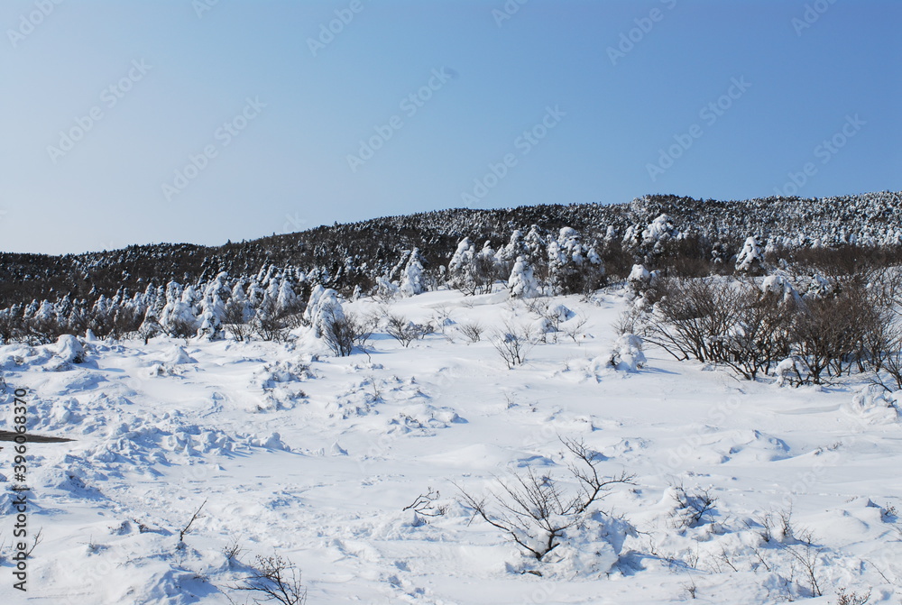 The beautiful Jeju Hallasan snow scene in Korea The beautiful Jeju Hallasan snow scene in Korea