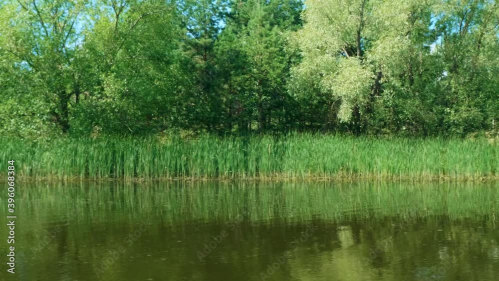 View of green trees and reeds on river shore from boat f;oating along the shore. Greatness of Russain nature View of green trees and reeds on river shore from boat f;oating along the shore. Greatness of Russain nature