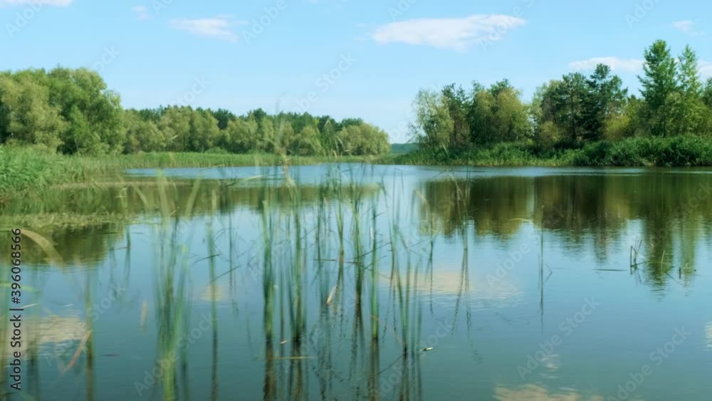 View of green reeds and birch trees on rover shore. View from nose of boat floating on river. Beauty of Russian nature. View of green reeds and birch trees on rover shore. View from nose of boat floating on river. Beauty of Russian nature.