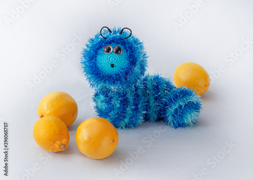 Funny blue fluffy knitted toy caterpillar sitting among lemons. Image with selective focus. © Nataliia