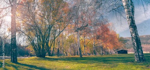 Autumn trees and log cabin on the grass