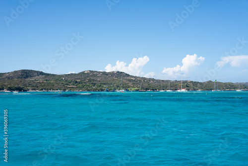 Corsican mountain desert countryside full of vegetation tree next to the sea