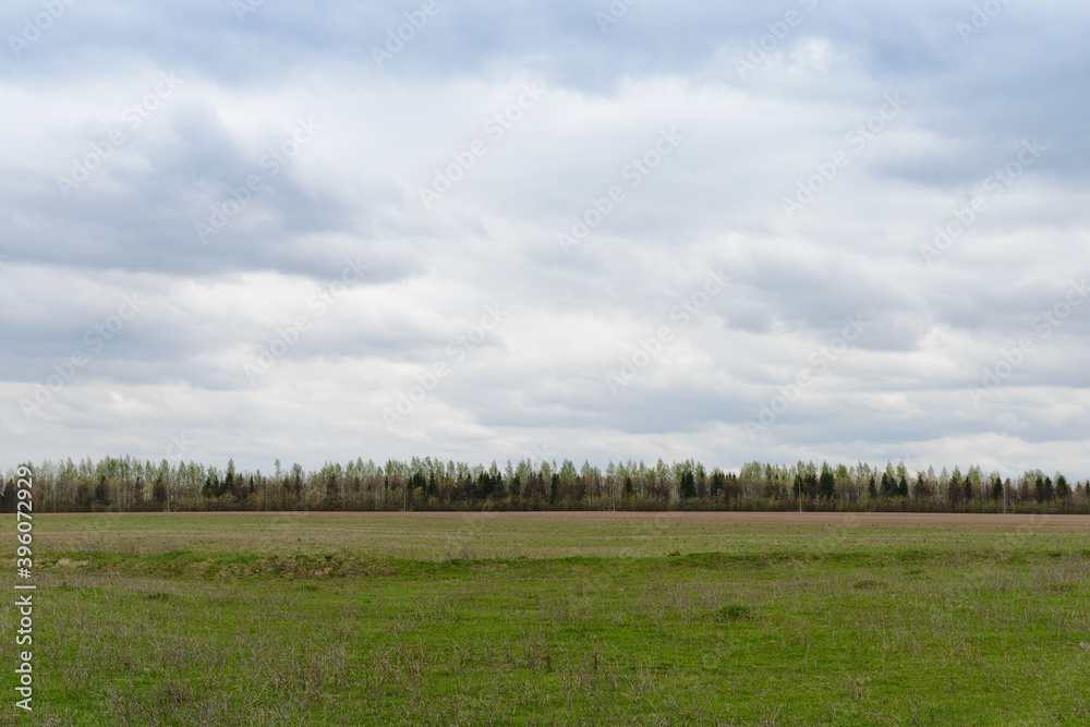 Spring landscape with a green field on a cloudy day Spring landscape with a green field on a cloudy day