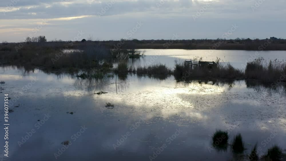 Drone Travelling shot above the nice and wet camargues in bouches du rhône