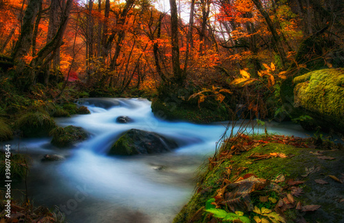 Forest Mountain stream landscape fall colors