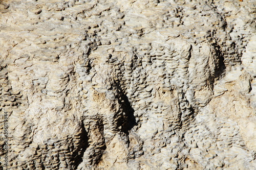 Badab Soort photo