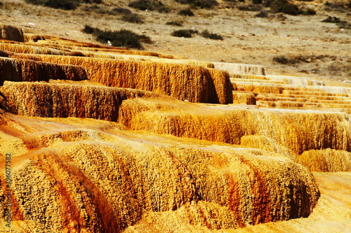 Badab Soort photo