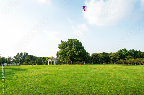 Fine weather and the lawn in the park