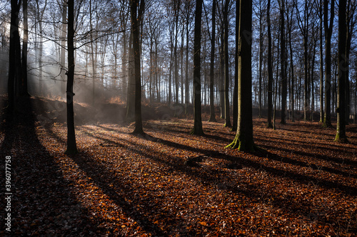 Römerkastell Holzhausen an der Haide im November photo