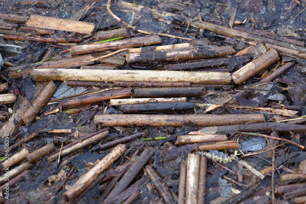 Dry twigs and sticks lie on the wet sand on the river bank.