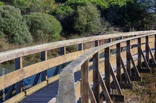 Wooden walkway in the park. Coastal Botanical Garden of Porto Caleri, Rosolina Mare, Italy.