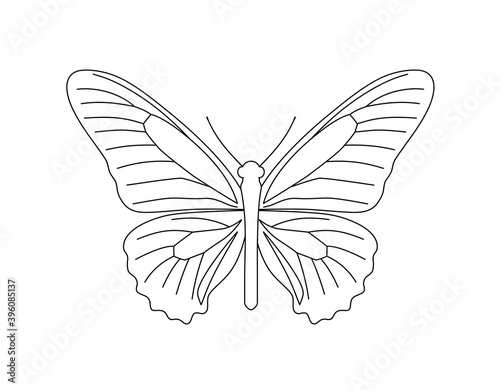 Butterfly line art. Black and white vector illustration for coloring book.