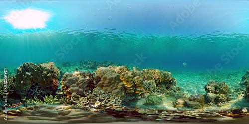 Coral reef underwater with fishes and marine life. Coral reef and tropical fish. Philippines. Virtual Reality 360. © Alex Traveler