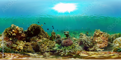 Tropical coral reef and fishes underwater. Hard and soft corals. Philippines. Virtual Reality 360.