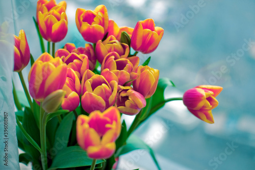 red and yellow tulips in interior