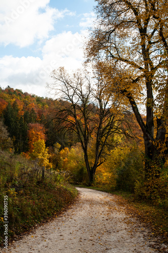 a gravel path in a hilly forest