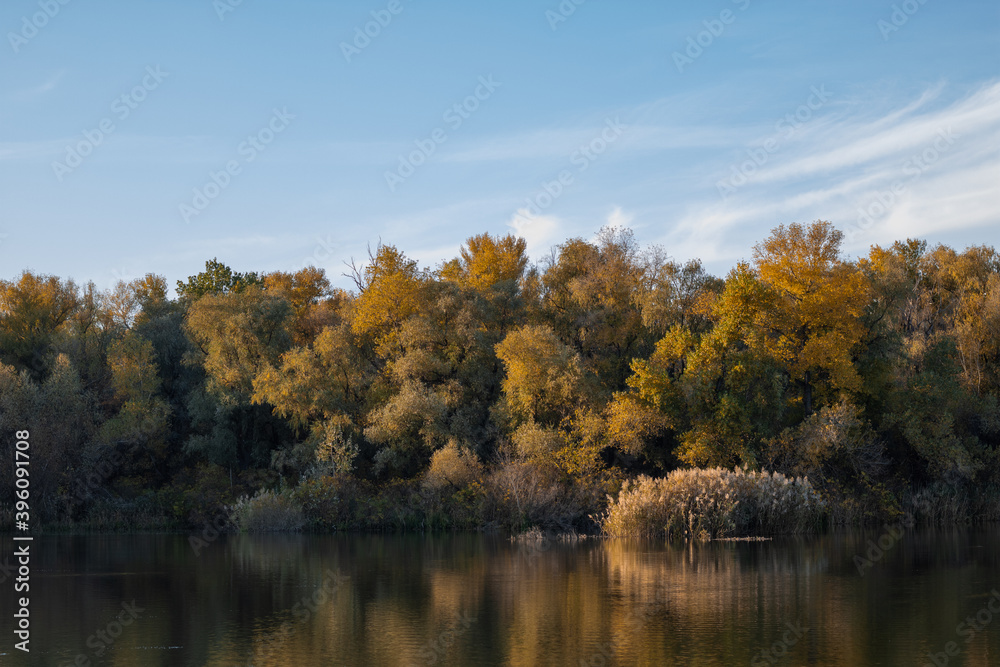 Autumn forest on the river.