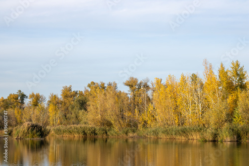 Autumn forest on the river. © IhorStore