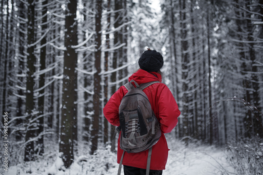 girl in the winter forest view from the back