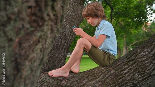 Boy plays in phone sitting on tree branch