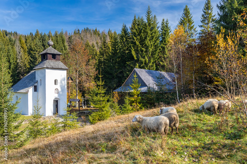 Museum Kysucke dediny in Kysuca, Slovakia photo