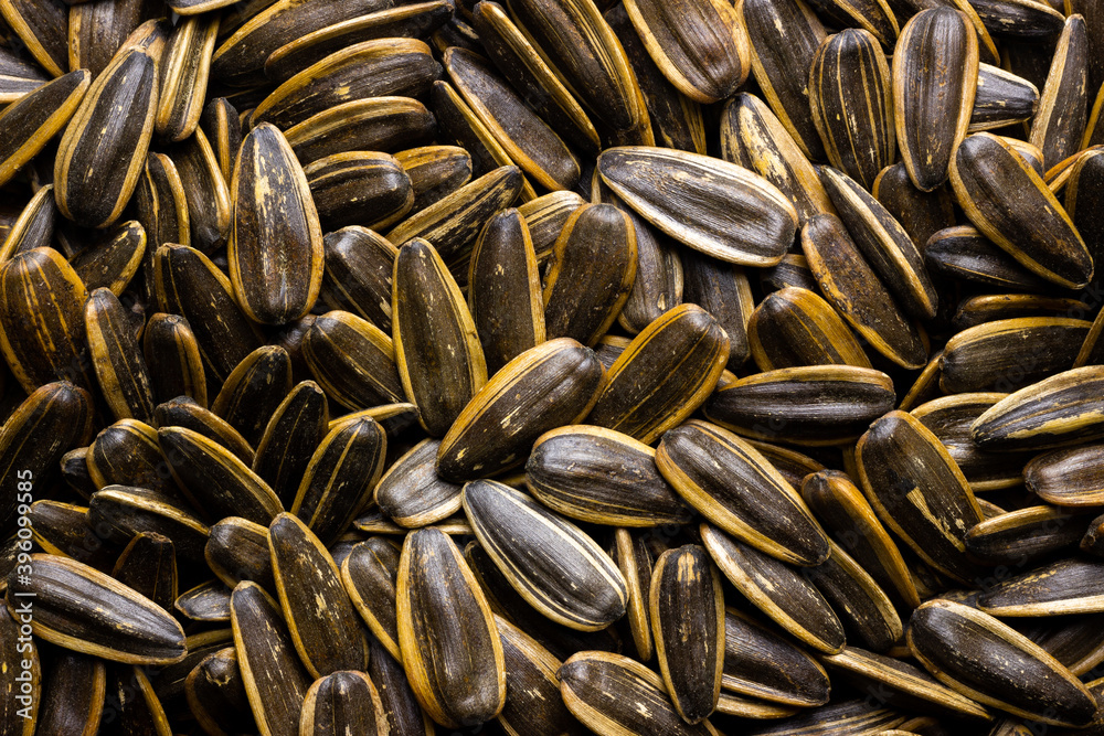 Lot of sunflower seeds detail closeup full frame background Lot of sunflower seeds detail closeup full frame background