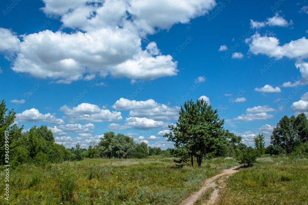 
landscape with a path in the field in summer, sky with beautiful clouds