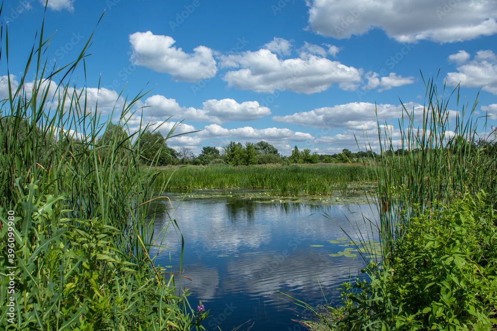 wonderful reflection of the sky with clouds in the river, grass by the river on a summer day
wonderful reflection of the sky with clouds in the river, grass by the river on a summer day