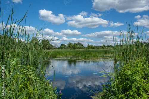  wonderful reflection of the sky with clouds in the river, grass by the river on a summer day