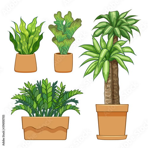 Ornamental plants in pots. Hand drawn set collection.