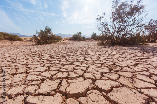 Dry soil in the Wadi Araba desert. Jordan