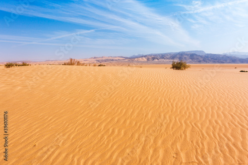 Sand Dune in Wadi Araba desert. Jordan