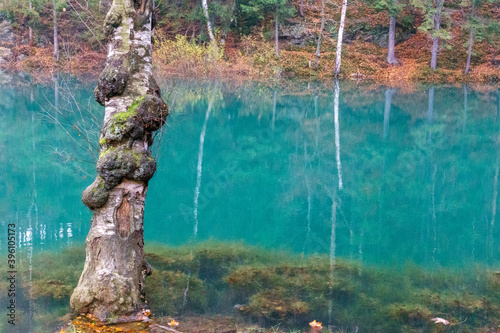 Nazwy oryginalne: Jeziorko Błękitne Jesień Odbicia w wodzie 5