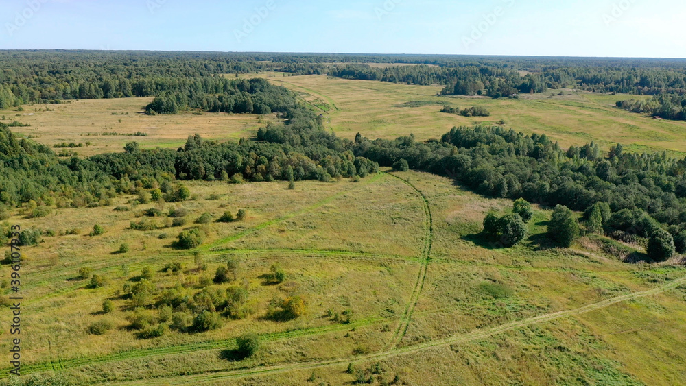 Landscape with green forest and field. Natural nature from a bird's eye view.