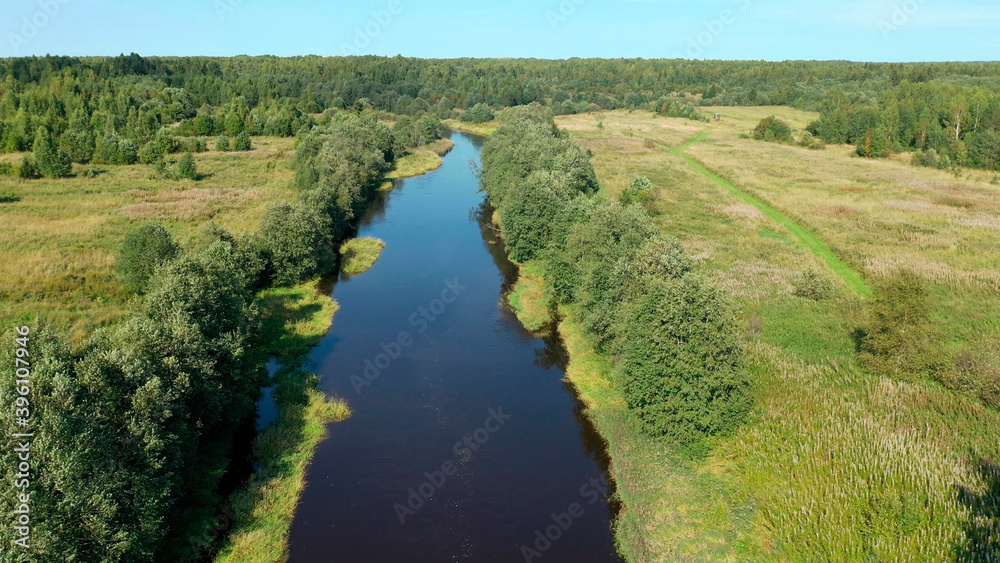 Landscape with green forest and river . Natural nature from a bird's eye view