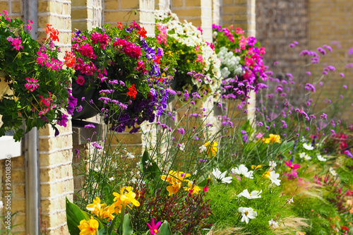 Baskets with flowers on the windows, backyard. Flower garden in summer, outdoor flower garden