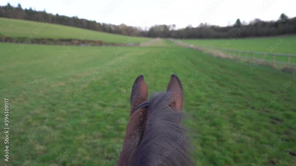 First person view pov horseback riding a brown horse on a green lawn
