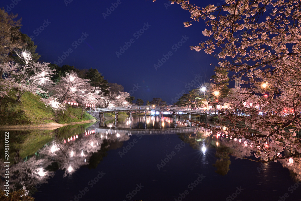 高田城址公園の夜桜