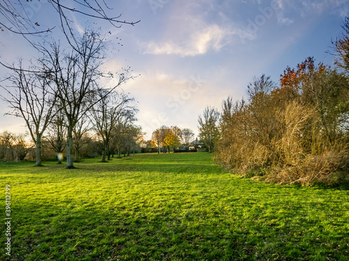 landscape in the park