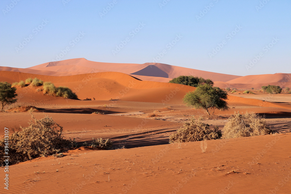 giant red sand dunes in Sossusvlei Namib Desert - Namib-Naukluft National Park, Namibia, Africa