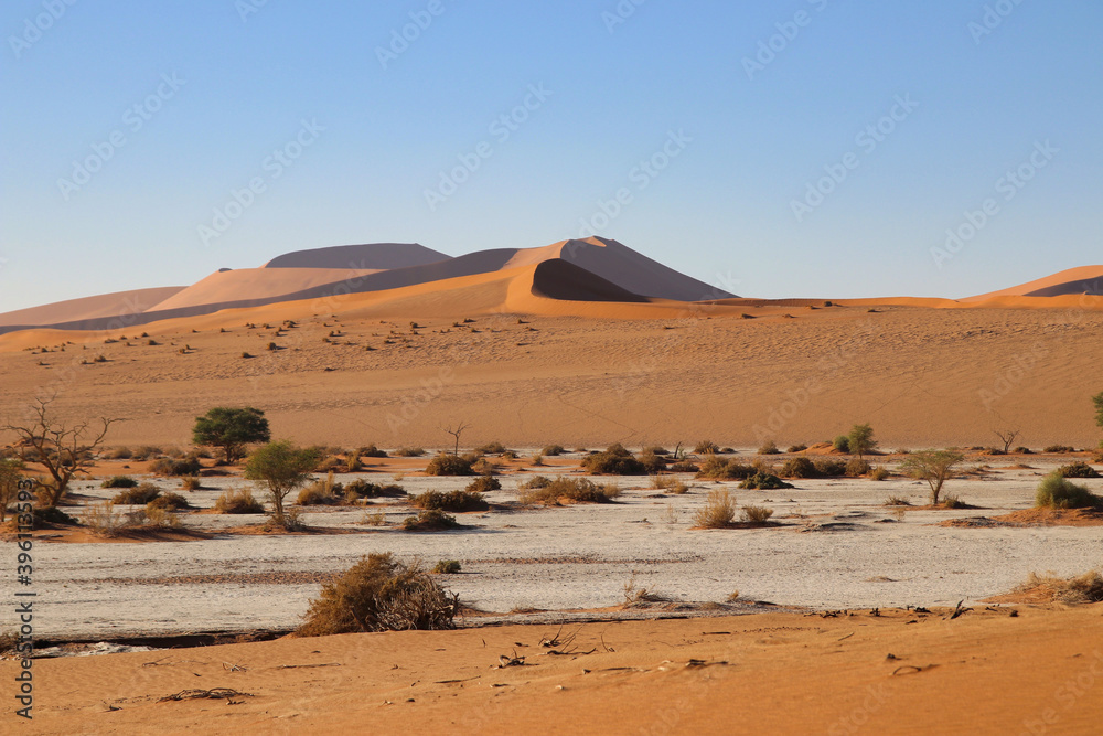 giant red sand dunes in Sossusvlei Namib Desert - Namib-Naukluft National Park, Namibia, Africa
