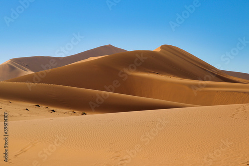 giant red sand dunes in Sossusvlei Namib Desert - Namib-Naukluft National Park  Namibia  Africa