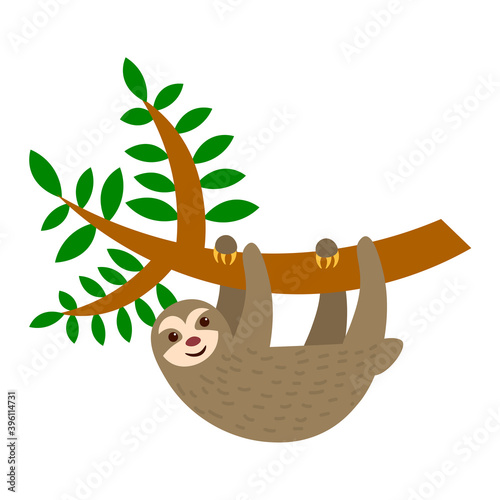 Cute sloth animal hanging on a tree branch in flat style isolated on white background. Vector illustration. 