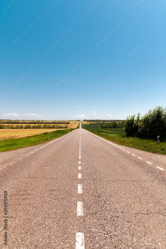 Country asphalt road through agricultural fields on a sunny day. Logistics and transport background