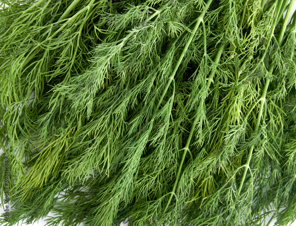 Fresh green dill background. Green dill texture. Bunch of dill. Seasoning. Spice for different dishes Fresh green dill background. Green dill texture. Bunch of dill. Seasoning. Spice for different dishes