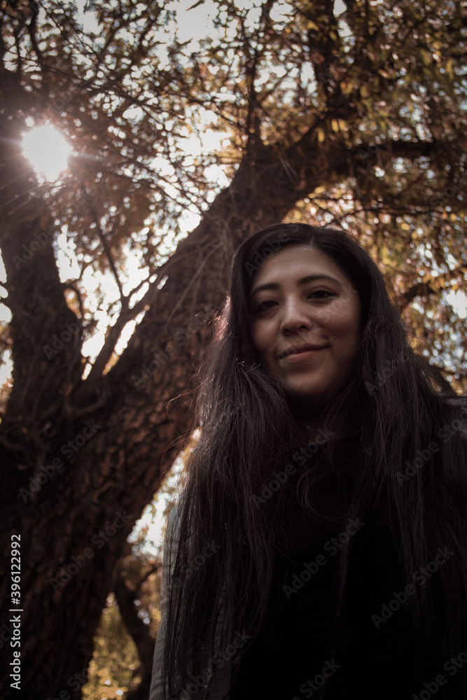 Mujer sentada en la rama de un árbol con el sol entre las ramas Mujer sentada en la rama de un árbol con el sol entre las ramas