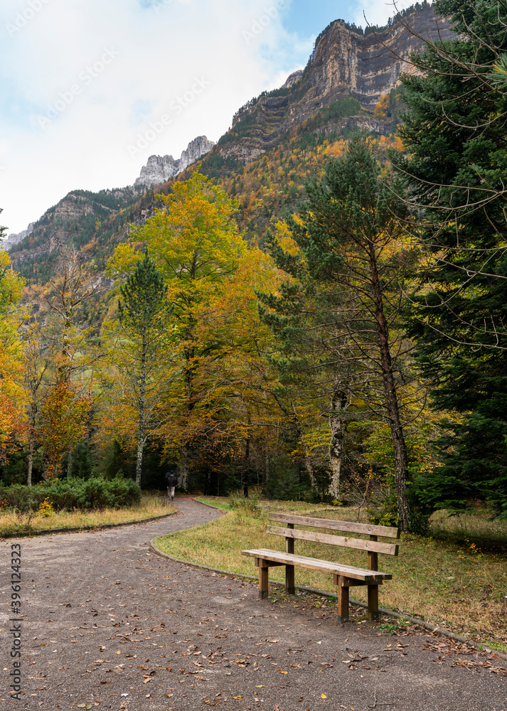 a bench with walking pave with autumn trees and Mount Perdido in Ordesa Natrional park