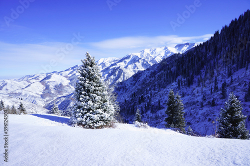 Hiking trail high in the mountains. Hiking route to the mountains. Winter trail in the mountains. © Сергей Дудиков