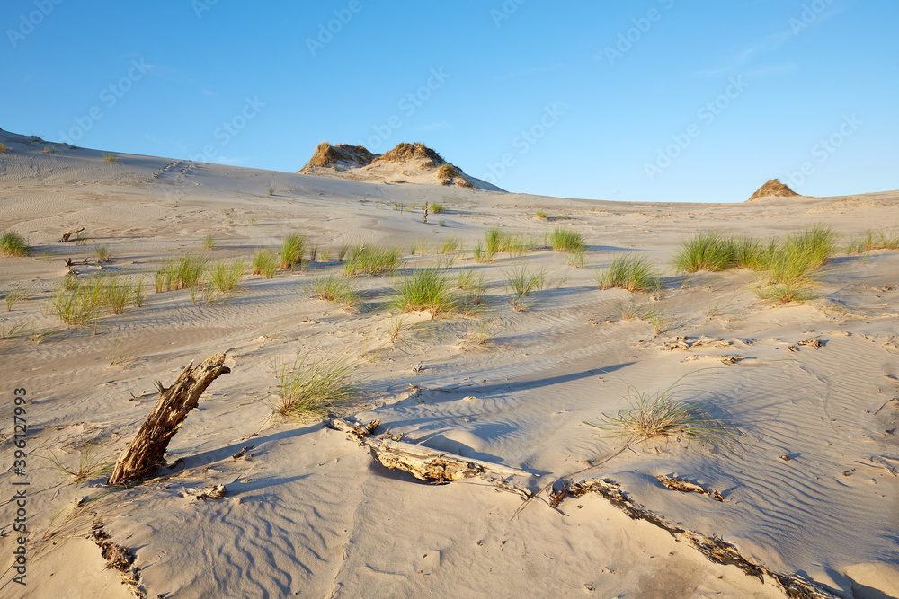 Leba sand dune